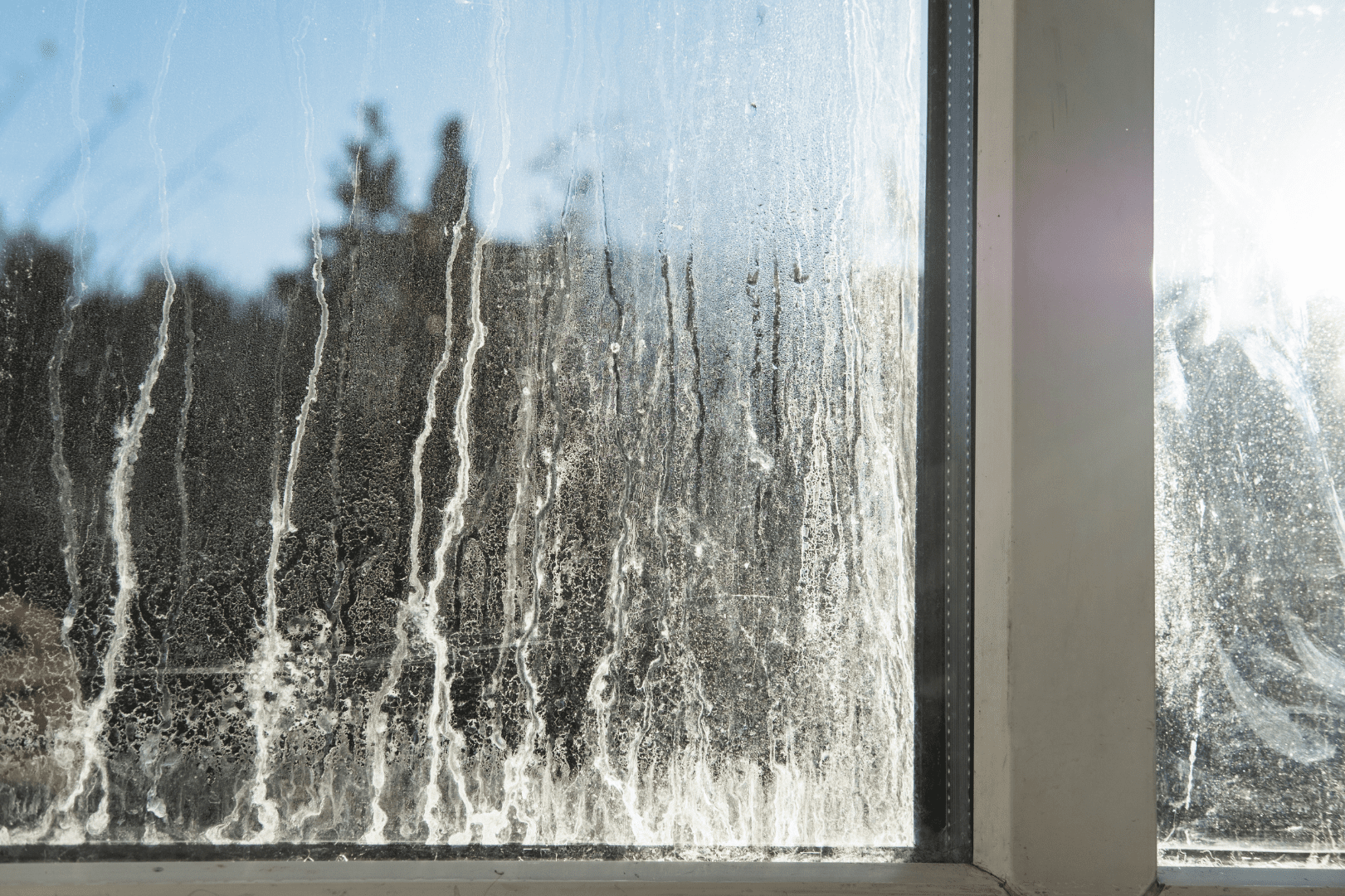 failed window unit needing a professional window replacement by Columbia Windows in Vancouver Washington