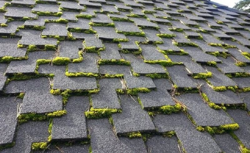 how to clean moss off roof