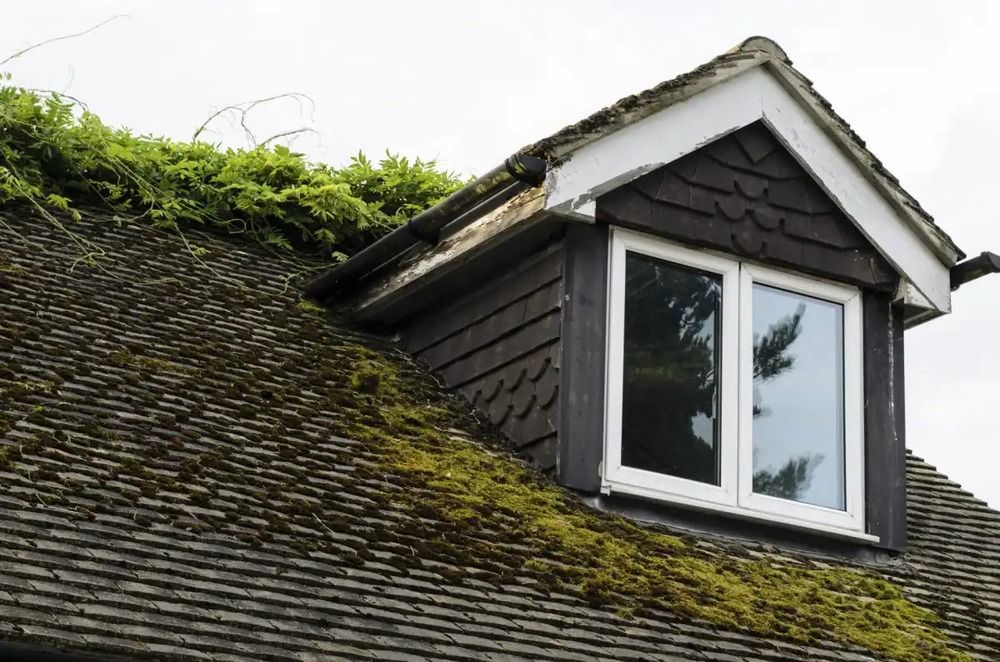 how to remove moss from roof