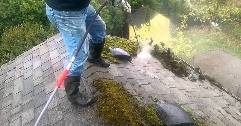 moss removal from roof